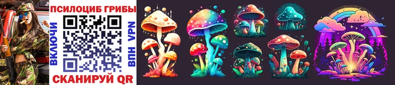 где продают   Сокол  Псилоцибиновые грибы Magic Shrooms 