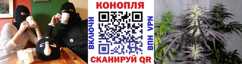 маркетплейс Telegram  Сокол  Канабис марихуана  кракен зеркало 